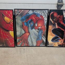 Spiderman Framed Pictures - 3 Total 