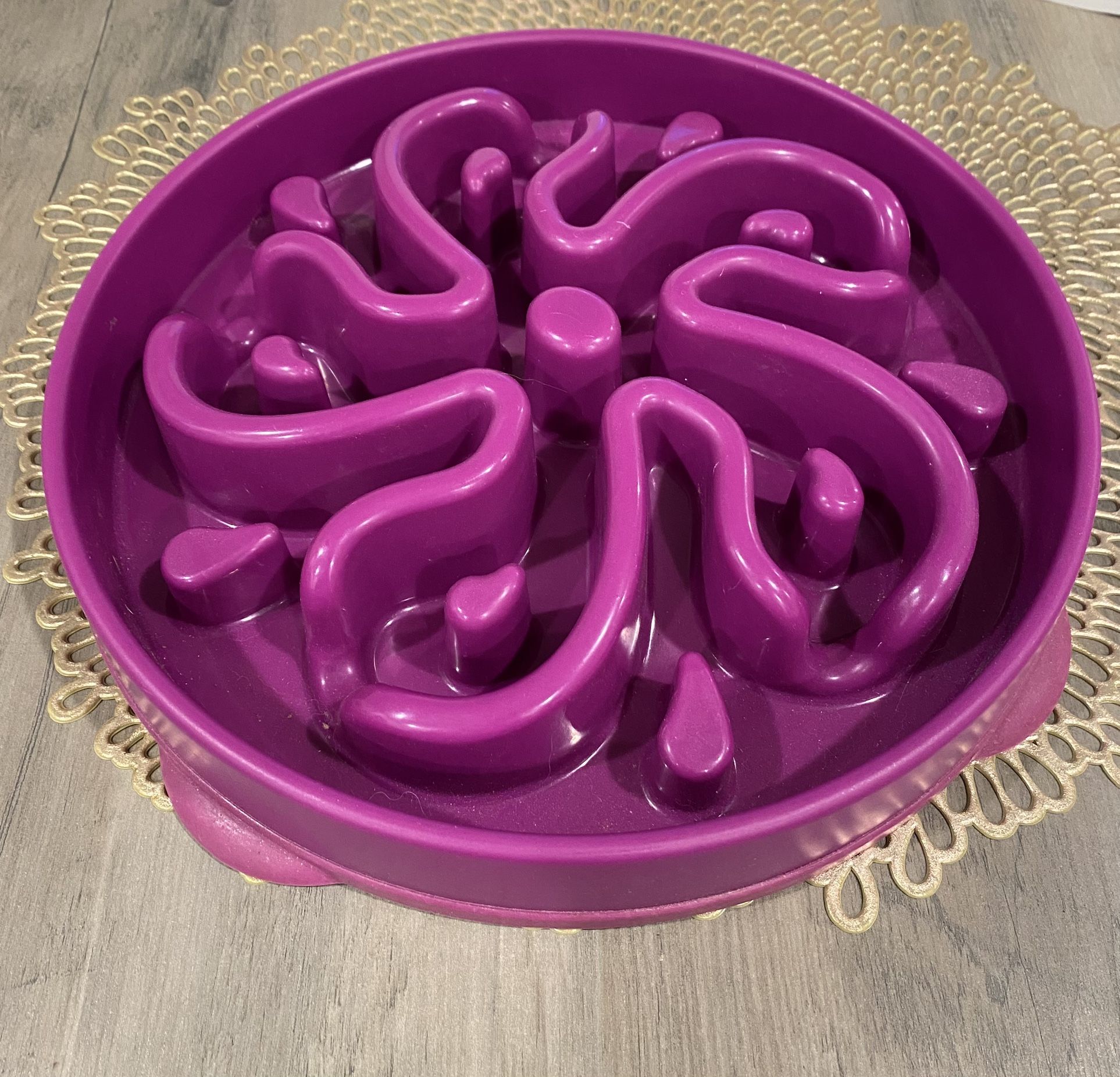 Slow feeder Dog Bowl