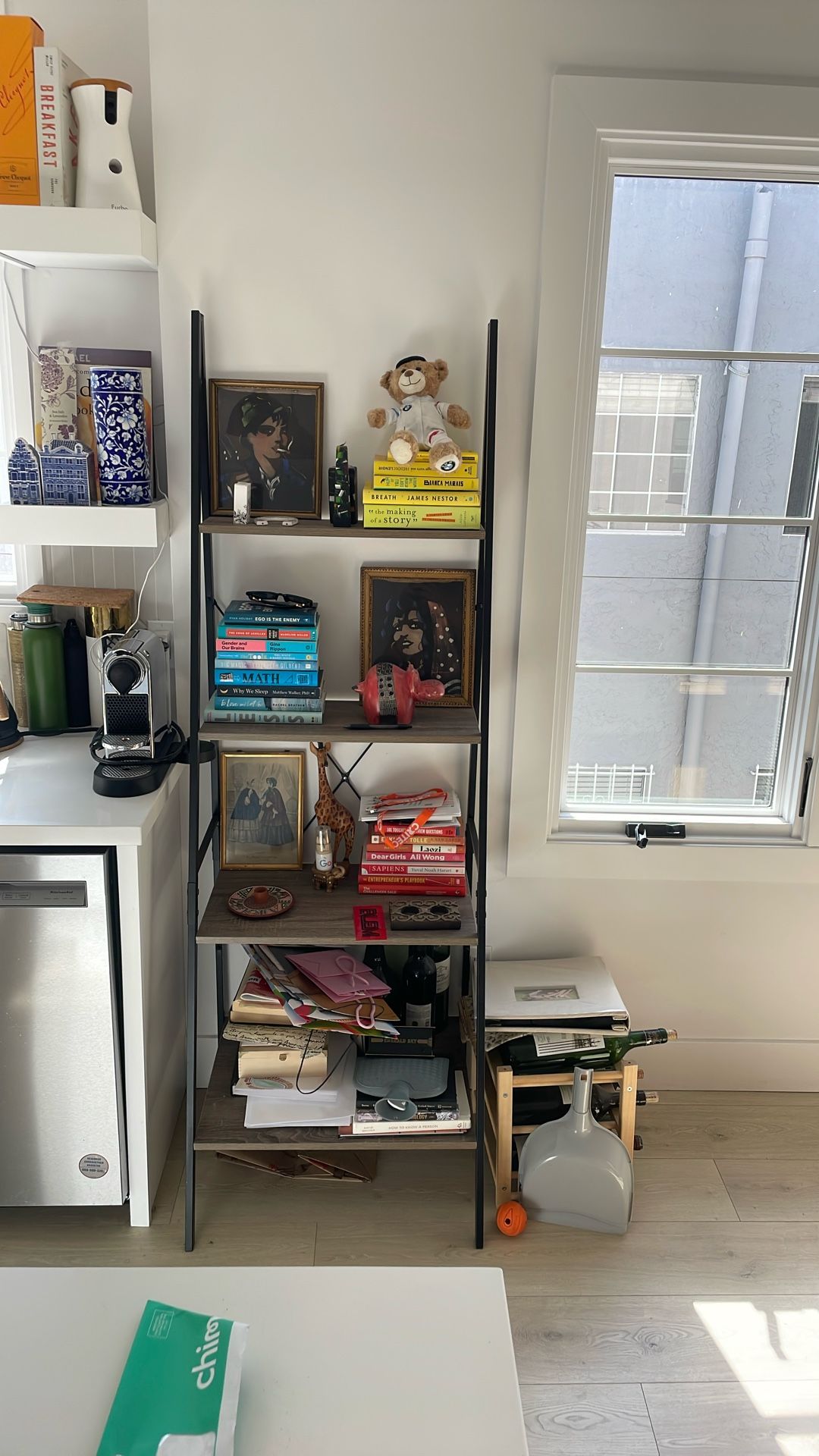 Ladder Shelf