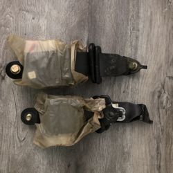Integra Rear Seatbelts 