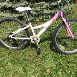 TREK MX 200 24 inch wheel girls mountain bike