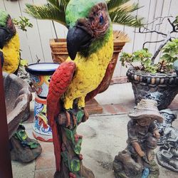 Parrot Statue For Sale