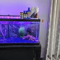 65 Gallon FISH TANK