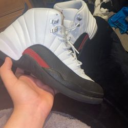 jordan 12 size 11