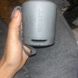Sony Portable Bluetooth Speaker (Gray)