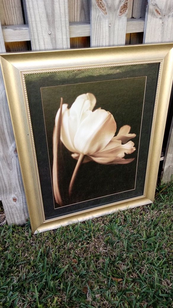 Beautiful Pain gold trim white flower magnificent.