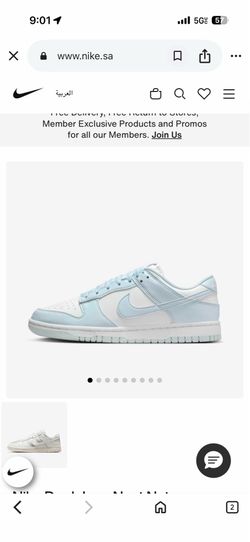 Nike Women's Dunk Low Shoes