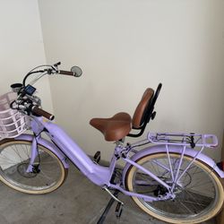 Electric Bike 