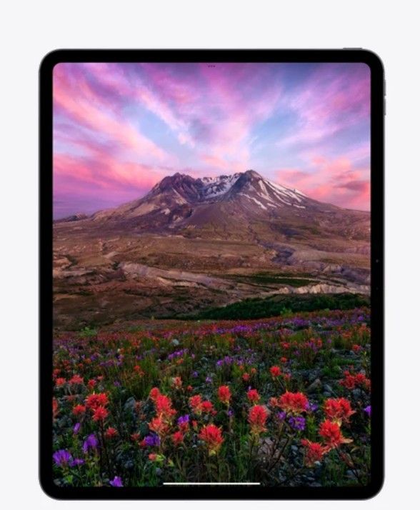 Apple iPad PRO Model #A2926. M4. 13 Inches
