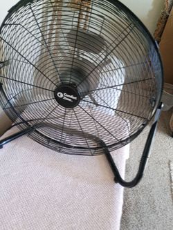 Fan