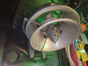 Vintage Fan
