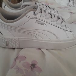 White Puma