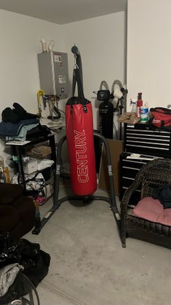 Punch/kick Bag + Stand