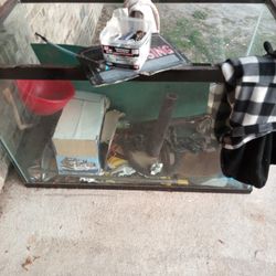 Aquarium 