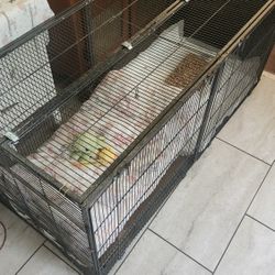 Bird Cage/dog Kennel
