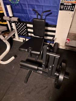 Leg curl/extension