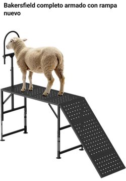 Goat/sheep standing table new