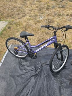 Huffy Mountain Bike Purple