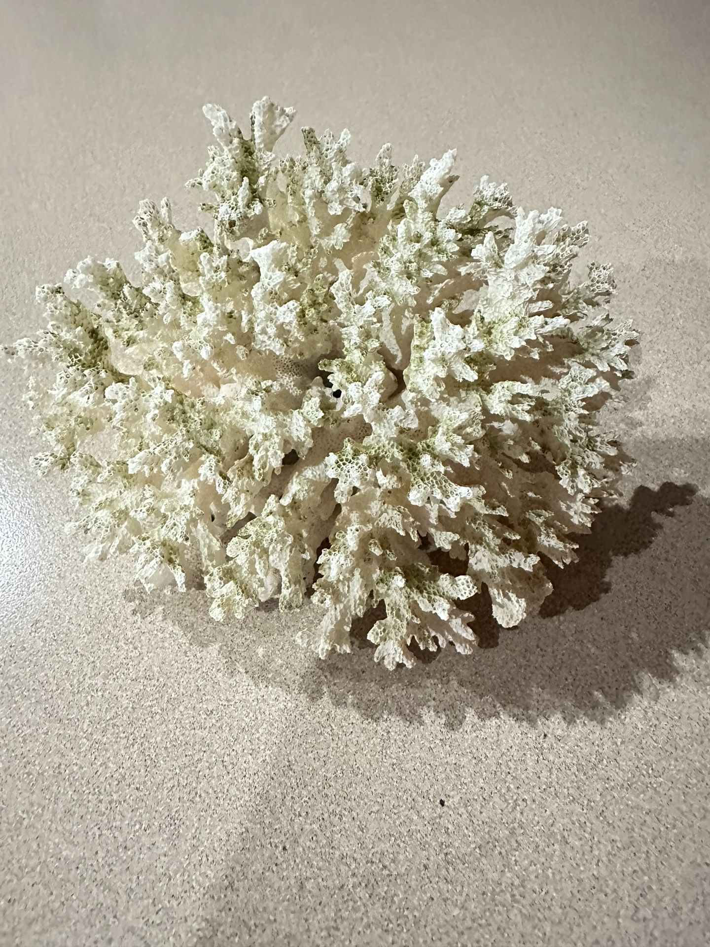 Aquarium Decorations $10 