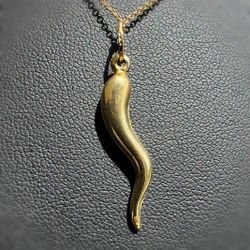 Jewelry 14k hollow yellow gold horn pepper Pendant charm