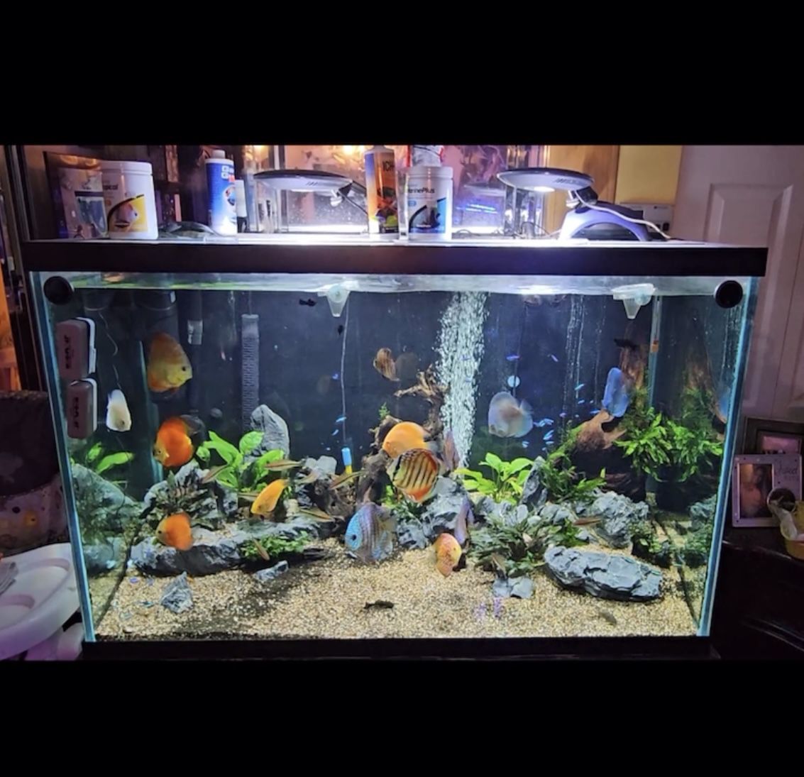 aquarium Fish Tank 150 Gallons 