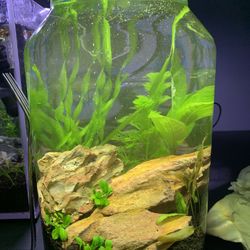 1 Gallon Aquarium Fish Tank Jar