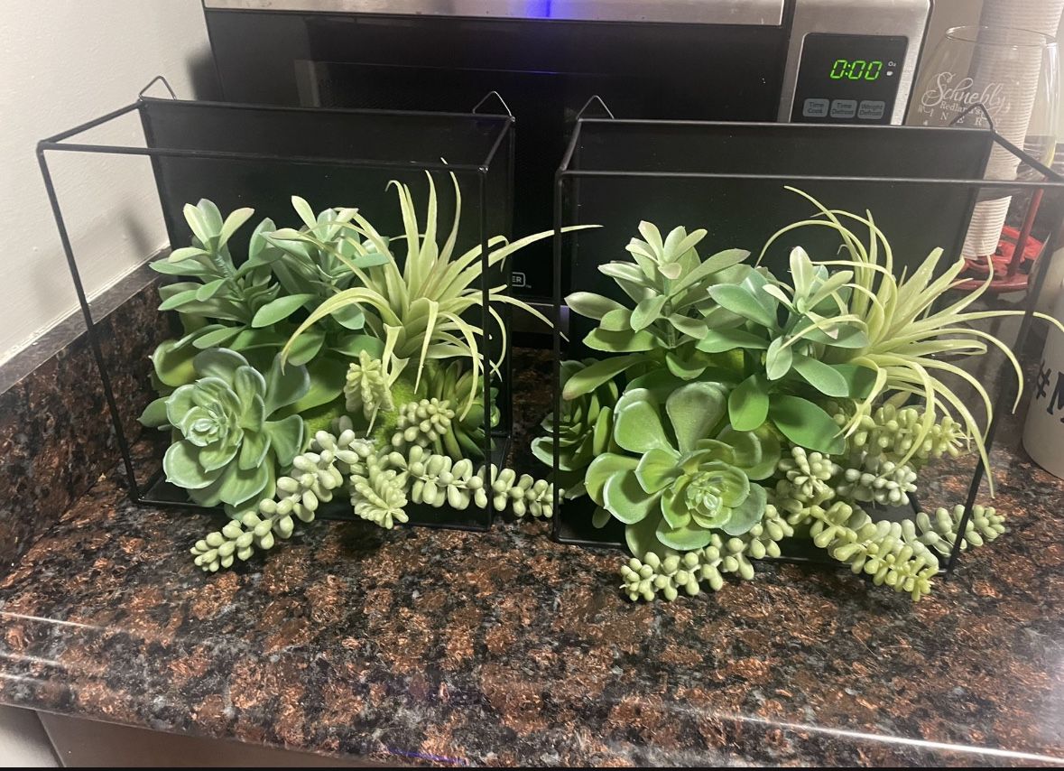 Wall Decor Succulents 