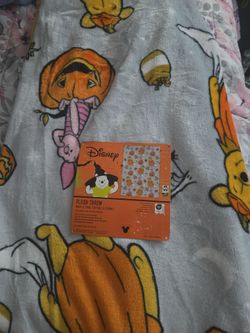 Winnie the pooh blanket