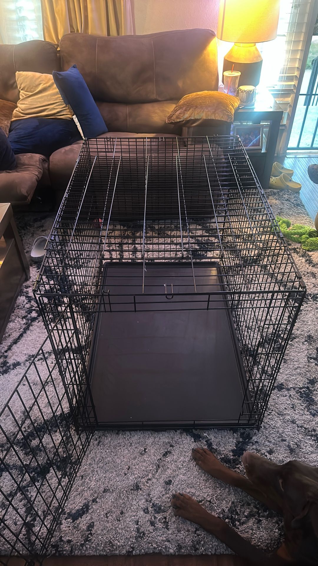 Dog Kennel