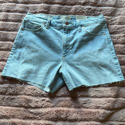 Women Shorts 