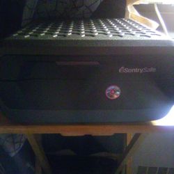 Sentry Safe 