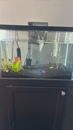 Fish tank