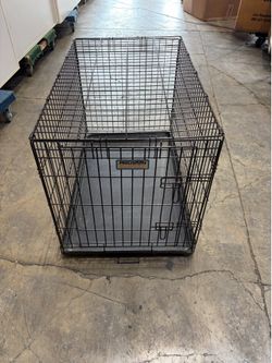 Dog case