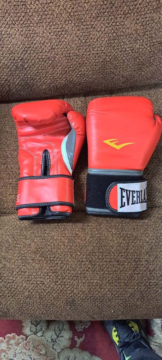 Everlast Boxing Gloves. Like New