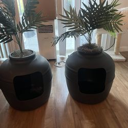 Litter Boxes 