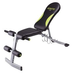 NEW Ignite Spri Workout Fitness Bench