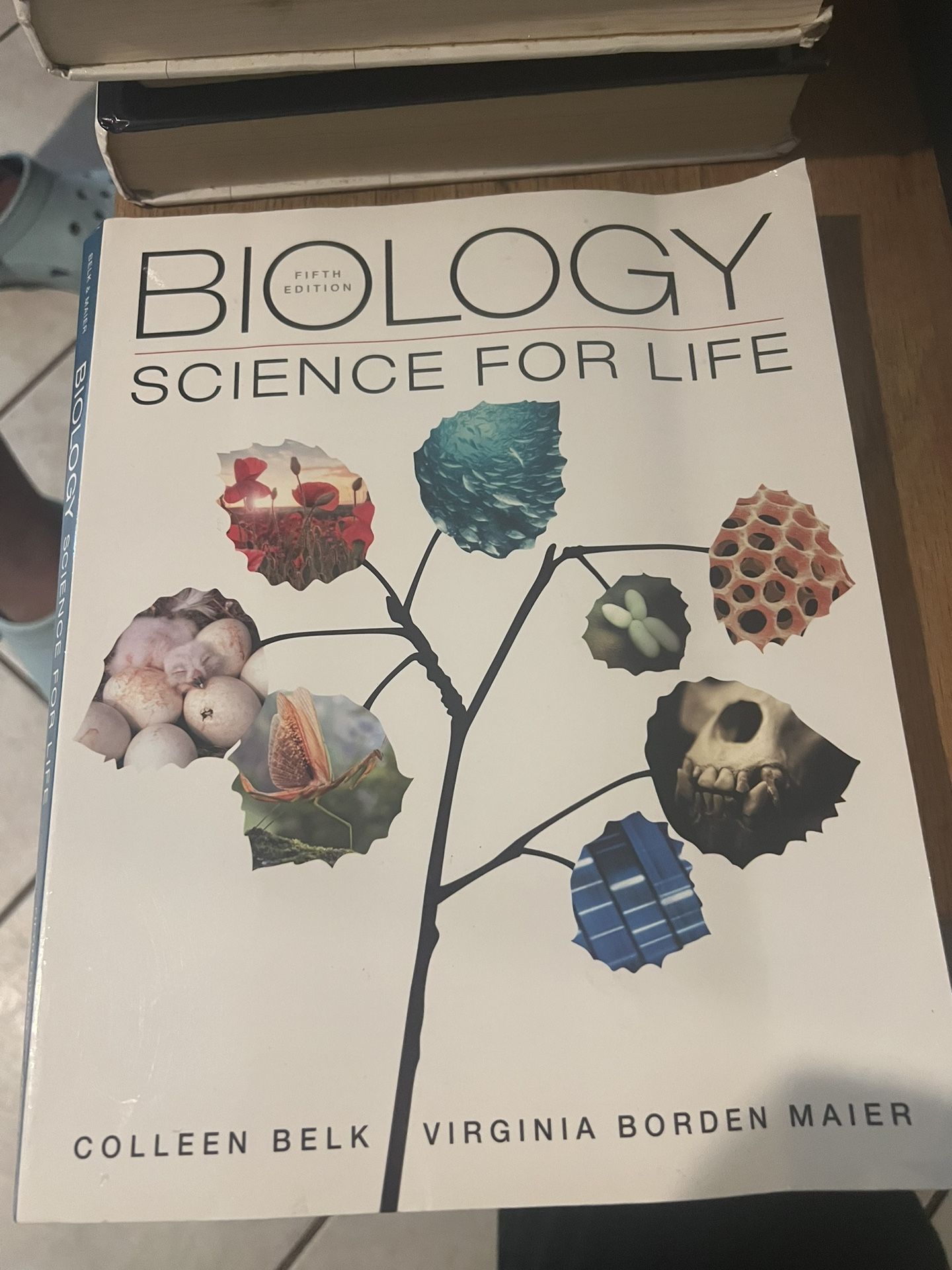 Biology Science For Life Book