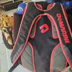 Little League Baseball Bag, Balls, Cleats, Helmet, Glove, Bats 