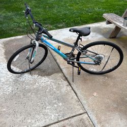 Nishiki 7-Speed Bicycle