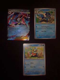 Mega Geninja Ex