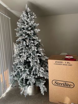 Christmas tree and Christmas decoration