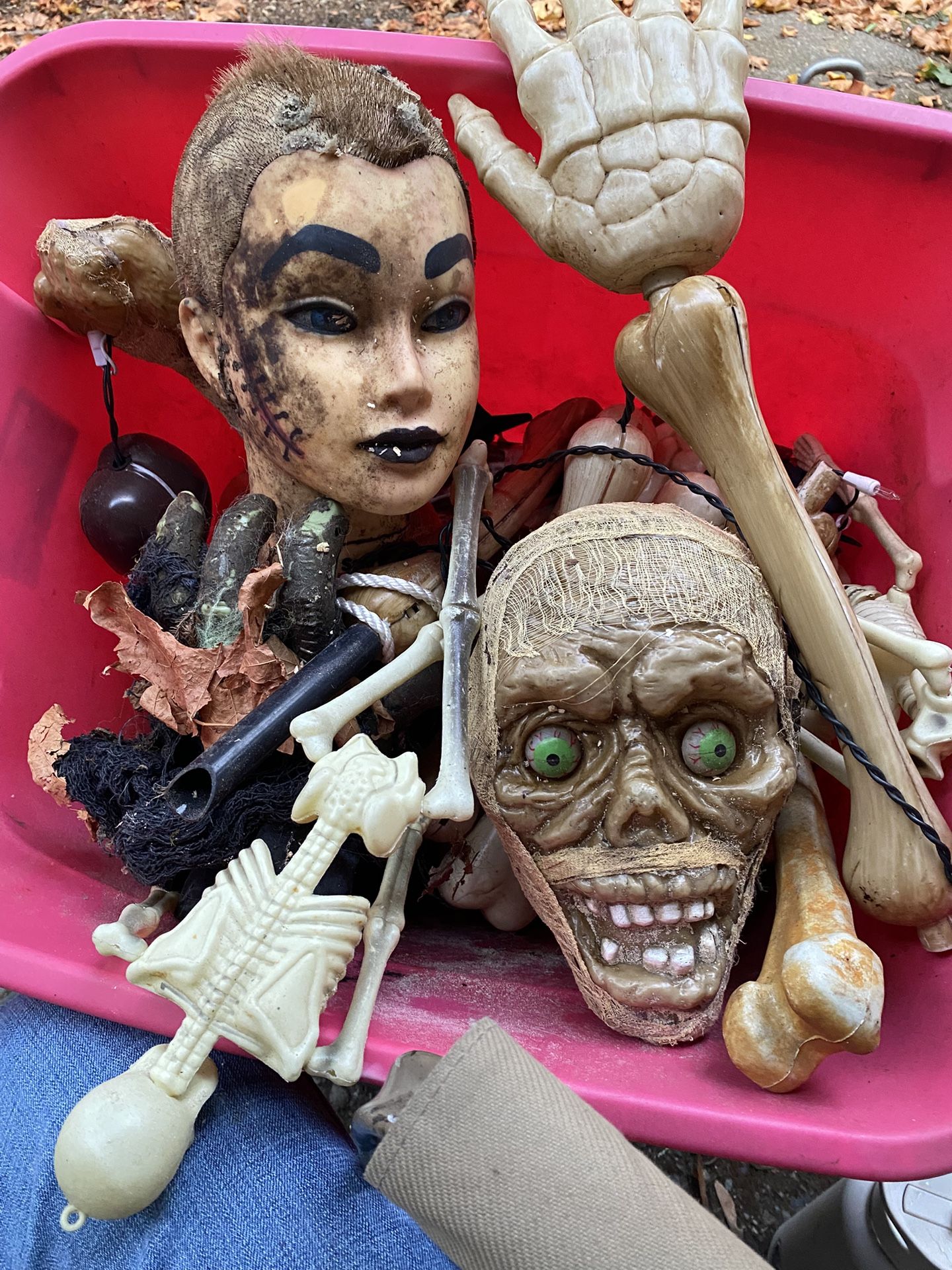 You took the Halloween decor