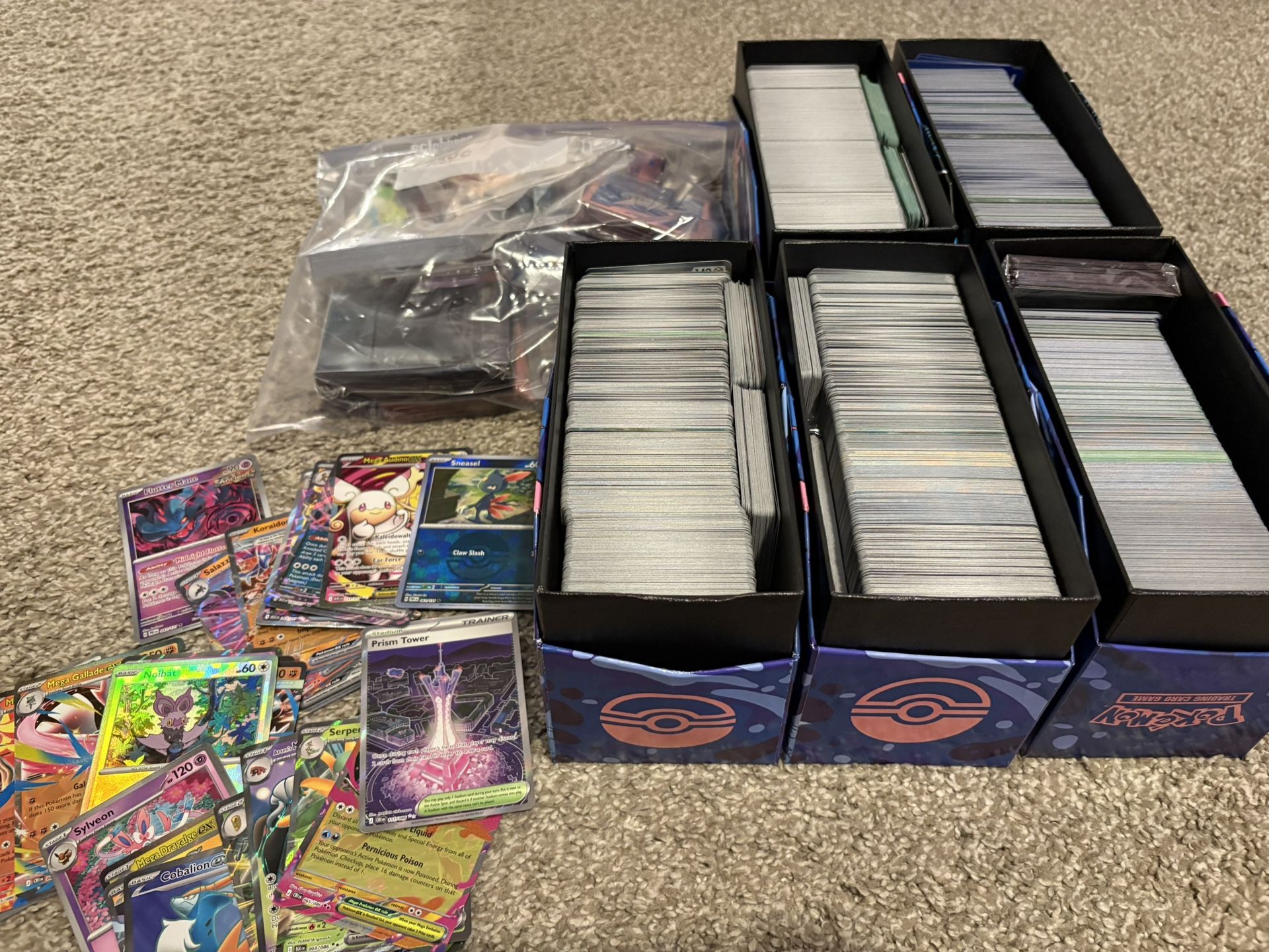 Pokemon Bulk