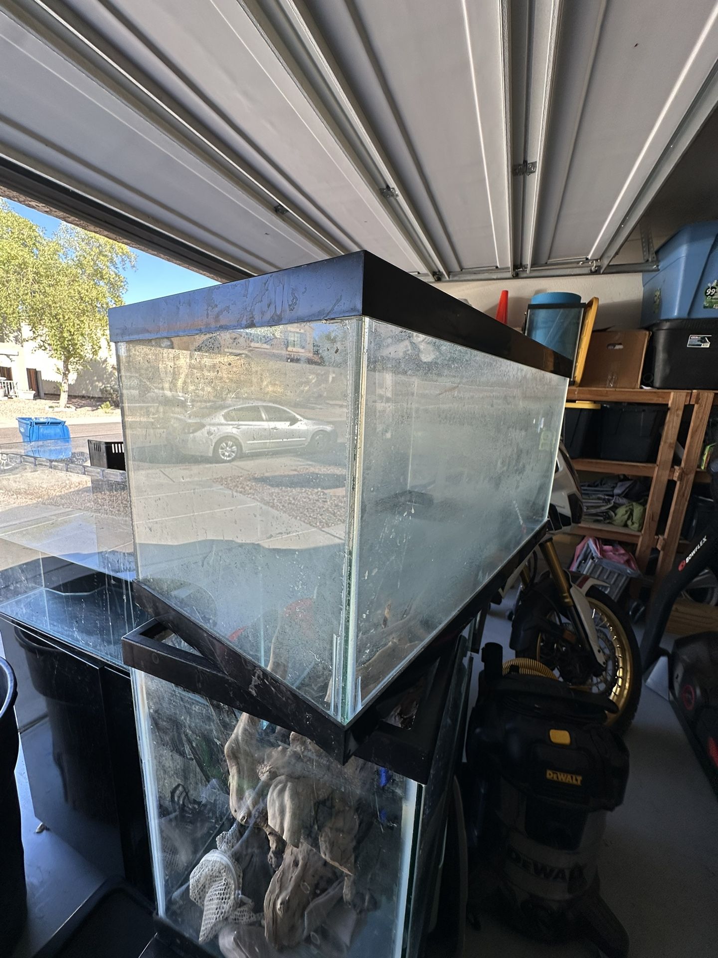 10 Gallon Fish Tank 