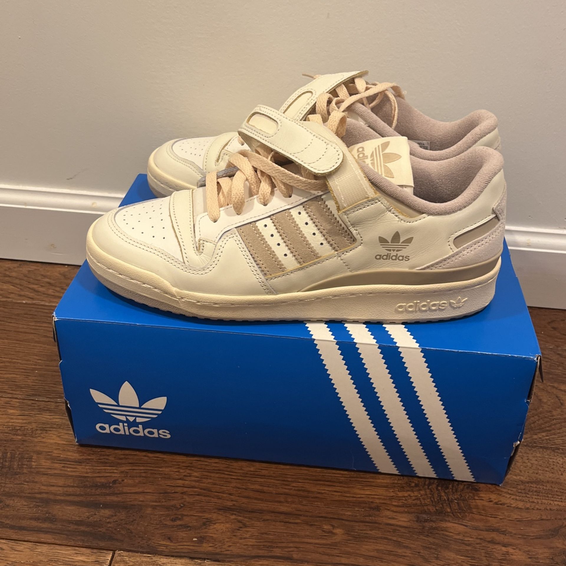 Forum 84 Low Used 