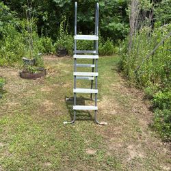 Pool Ladder
