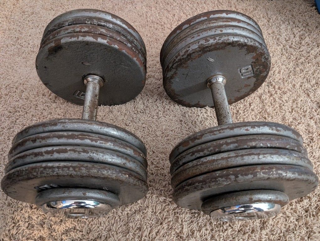 85lb Professional Dumbbells