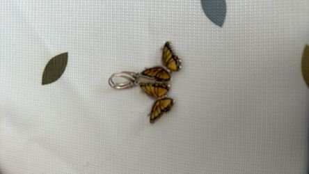 Monarch Butterfly Earrings