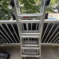 22’ Gorilla Ladder