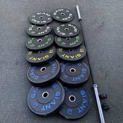 Bumper Weights And Barbell 